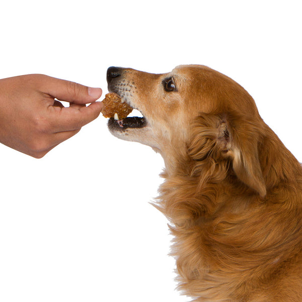 Chewbebe Chewie's Chicken Chip Jerky Dog Treats: All Natural Fresh One Ingredient USA