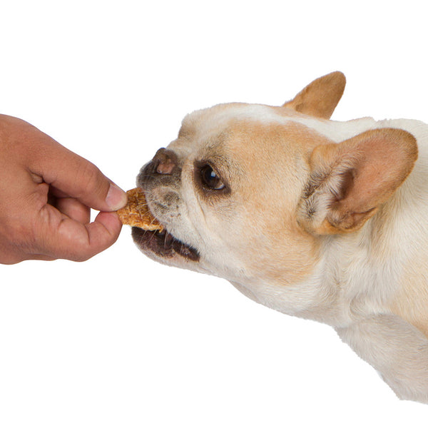 Chewbebe Chewie's Chicken Chip Jerky Dog Treats: All Natural Fresh One Ingredient USA